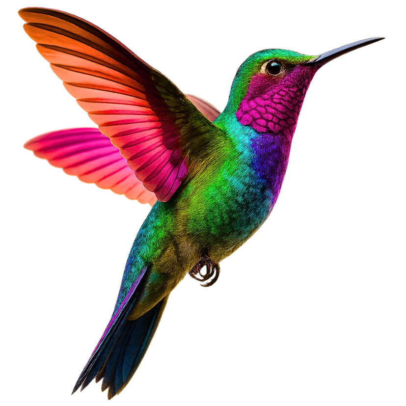 colibri<br />
